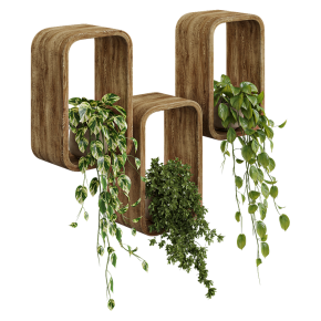 Hanging plants in a box