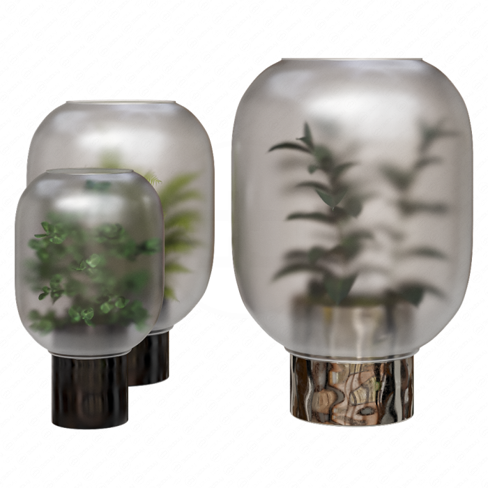 Композиция растений в колбе Nebl Planter