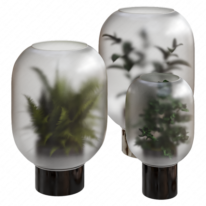 Композиция растений в колбе Nebl Planter