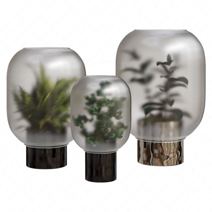 Композиция растений в колбе Nebl Planter