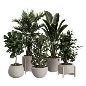 Houseplants No. 30