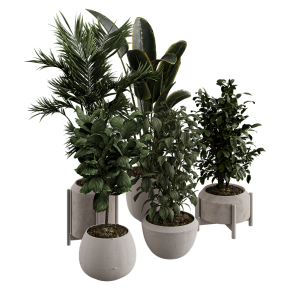 Houseplants No. 30