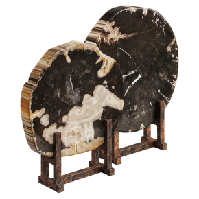Срезы окаменевшего дерева Black Petrified