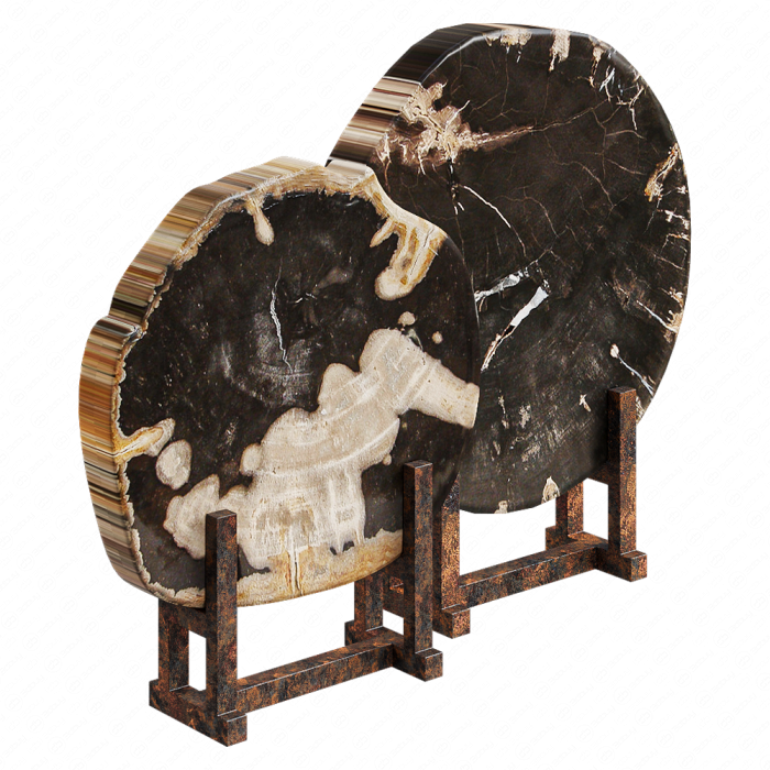Срезы окаменевшего дерева Black Petrified