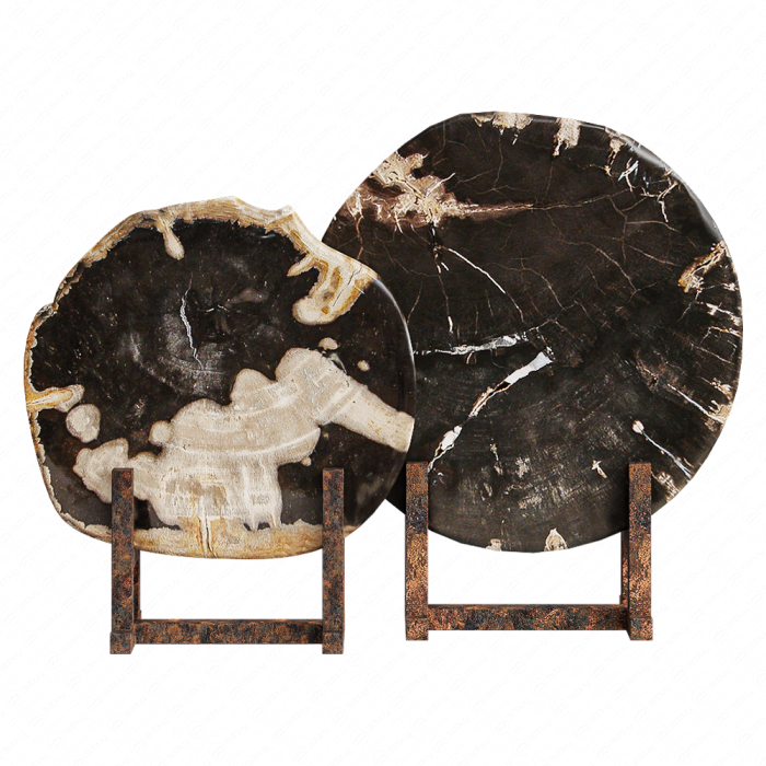 Срезы окаменевшего дерева Black Petrified