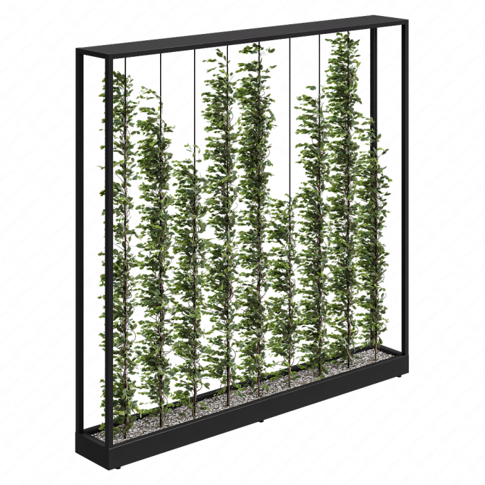 Green Wall - Plants partition 06
