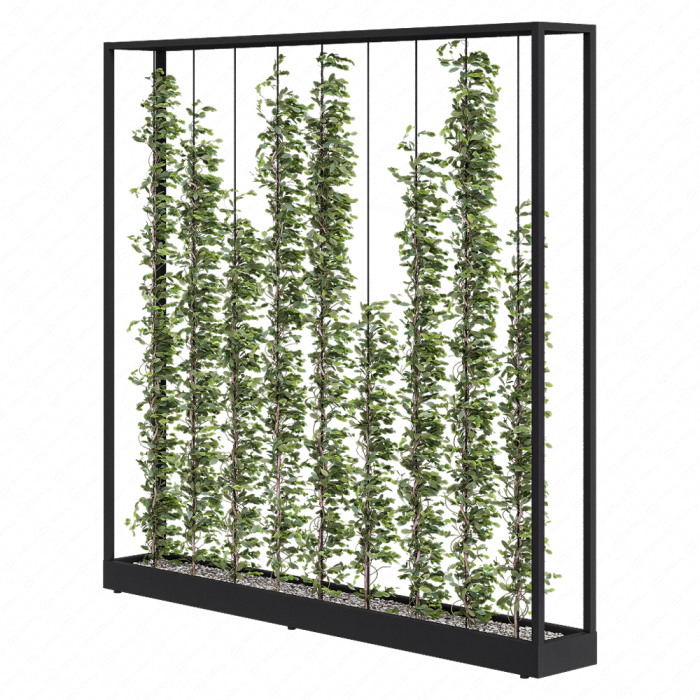 Green Wall - Plants partition 06