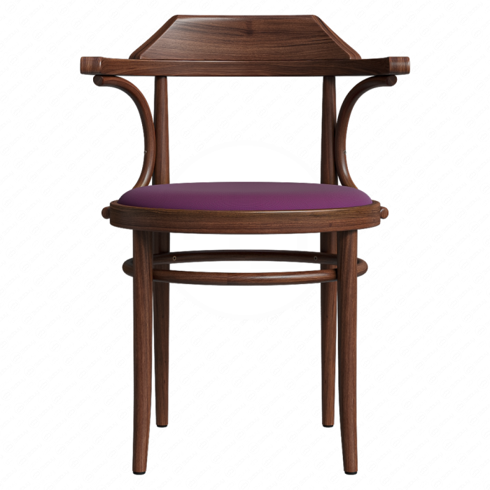 Обеденный стул Upholstery Thonet