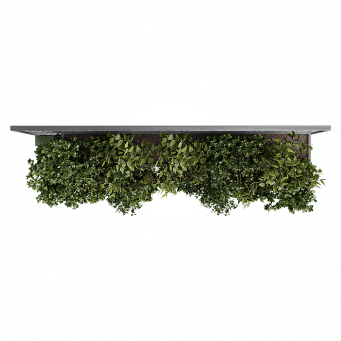 Indoor Wall Vertical Garden Hanging Plants - Set 1626 Indoor Wall Vertical Garden Hanging Plants - Set 1626