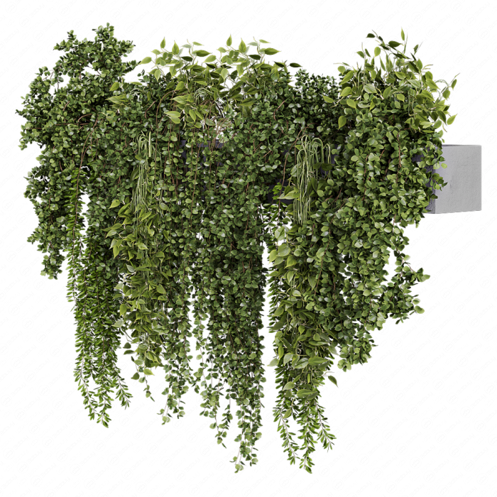 Indoor Wall Vertical Garden Hanging Plants - Set 1626 Indoor Wall Vertical Garden Hanging Plants - Set 1626