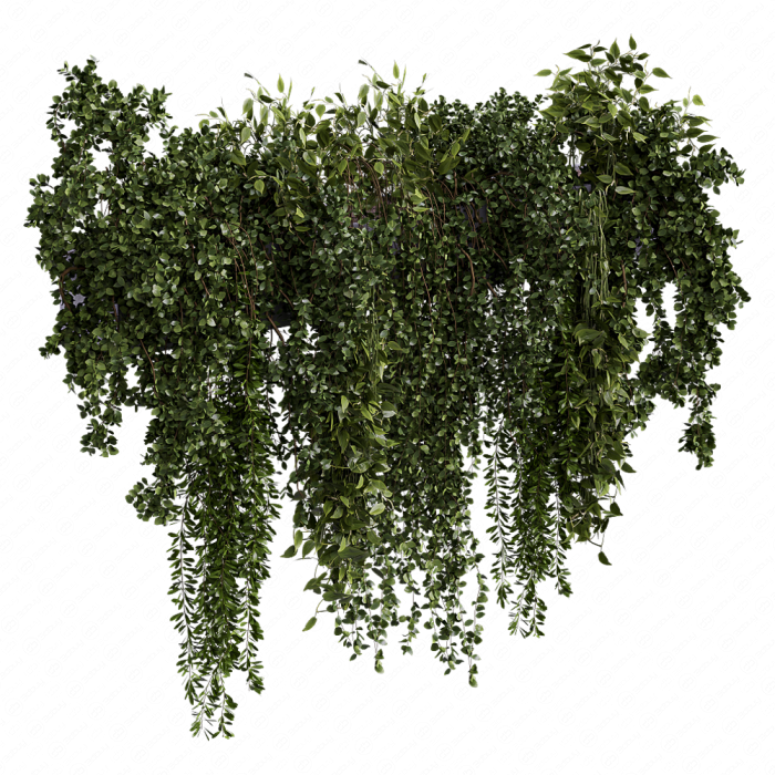 Indoor Wall Vertical Garden Hanging Plants - Set 1626 Indoor Wall Vertical Garden Hanging Plants - Set 1626