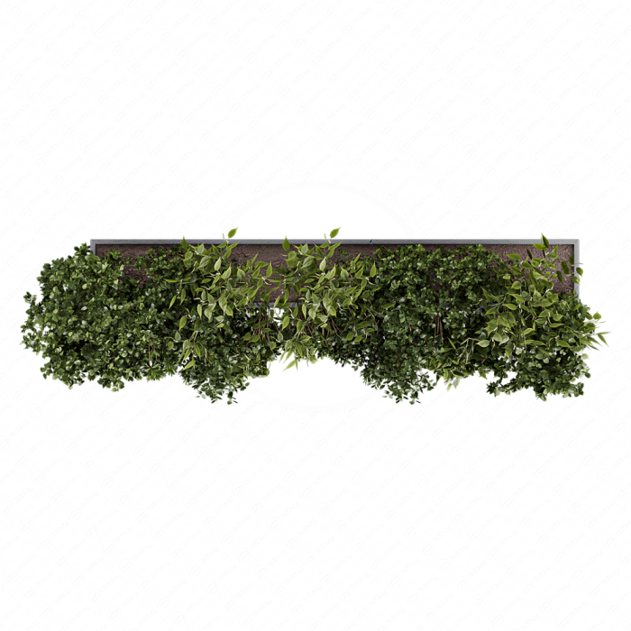 Indoor Wall Vertical Garden Hanging Plants - Set 1626 Indoor Wall Vertical Garden Hanging Plants - Set 1626