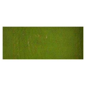 Green field