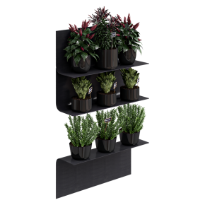A kitchen garden on a metal shelf