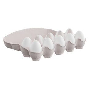 A tray of ten eggs