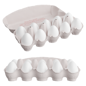 A tray of ten eggs