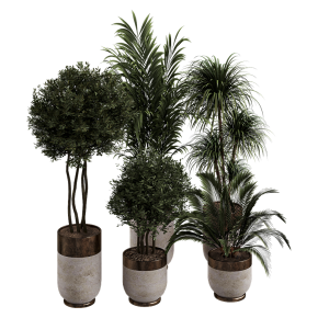 Houseplants No. 44