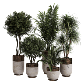 Houseplants No. 44
