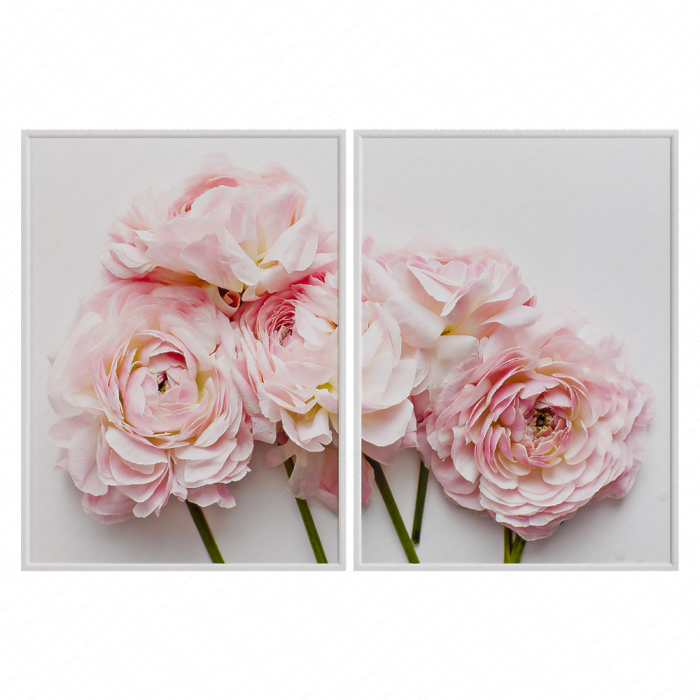 Модульная картина Mason Stefl Ranunculus