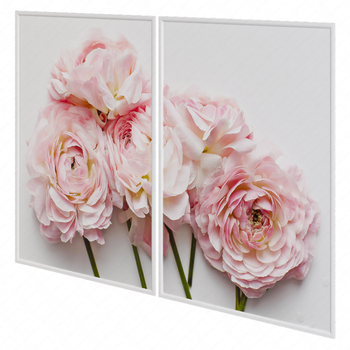 Модульная картина Mason Stefl Ranunculus