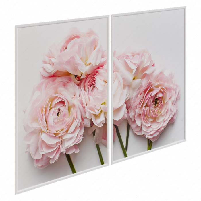 Модульная картина Mason Stefl Ranunculus
