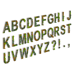 Алфавит из седумов