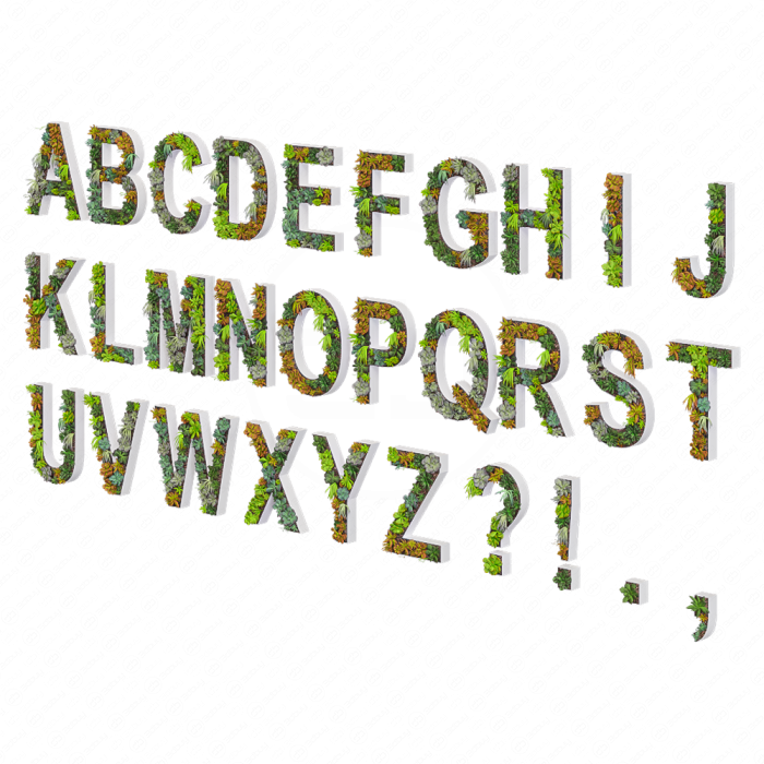 Алфавит из седумов