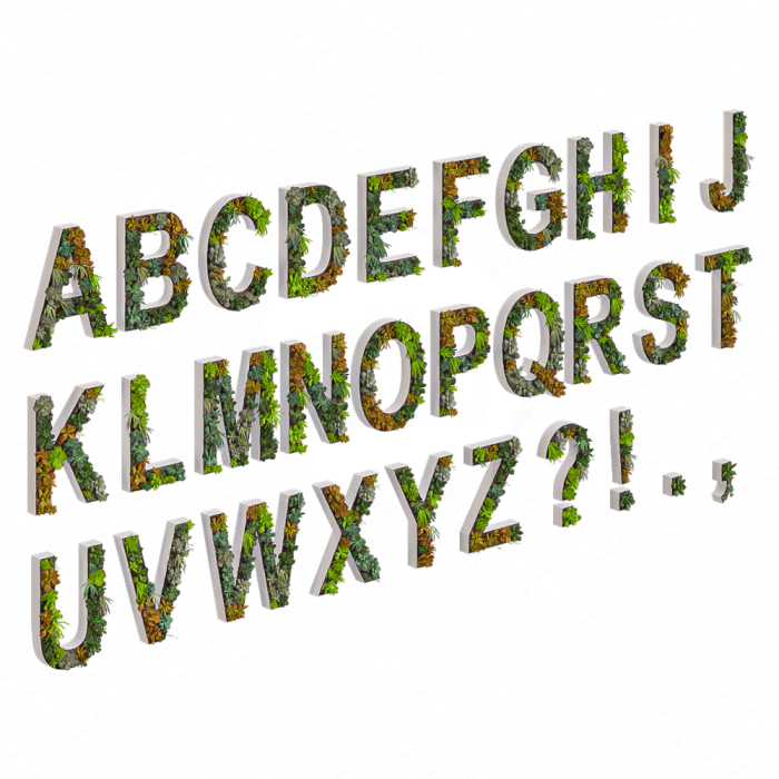 Алфавит из седумов