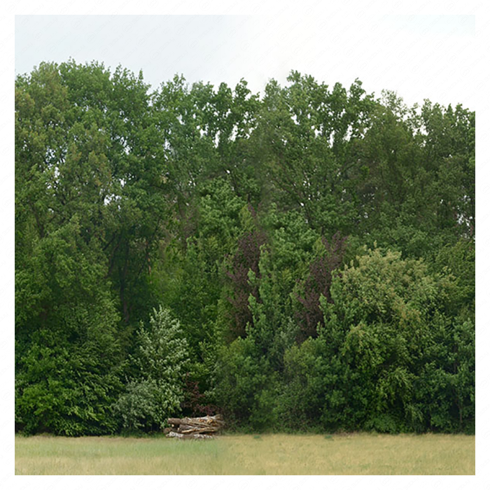 Фон008 8K