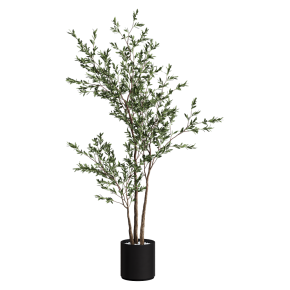 Houseplant No. 39