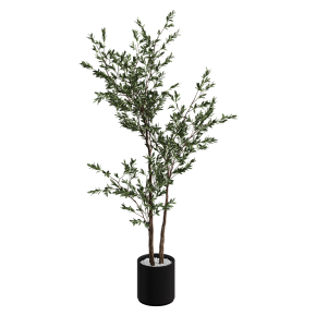 Houseplant No. 39