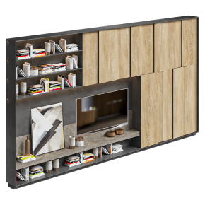 TV wall unit with books