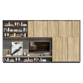 TV wall unit with books