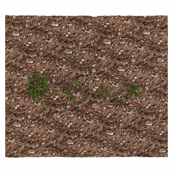 Meadow 22
