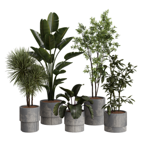 Houseplants No. 31