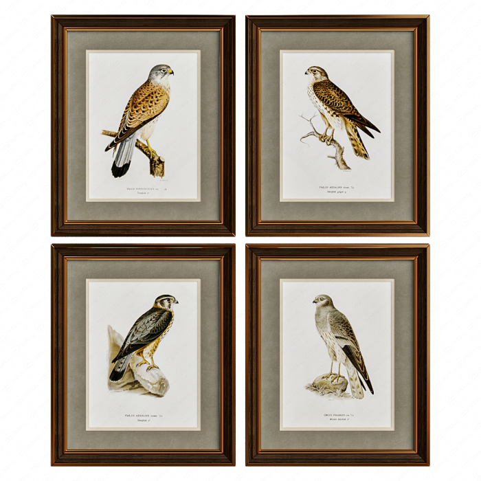 Картина №242